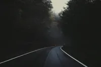 A user picture